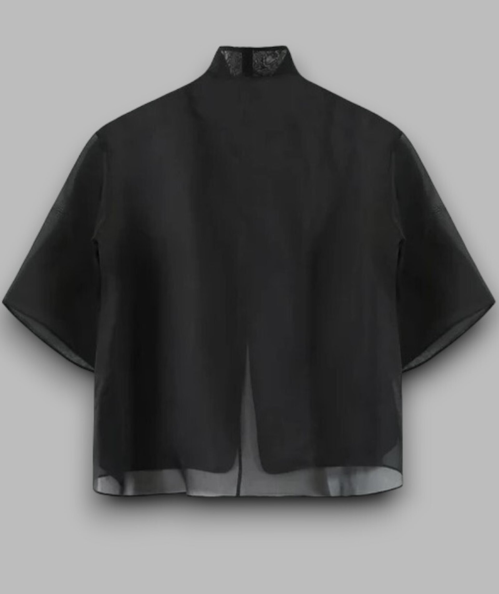 Camisa organza - 2